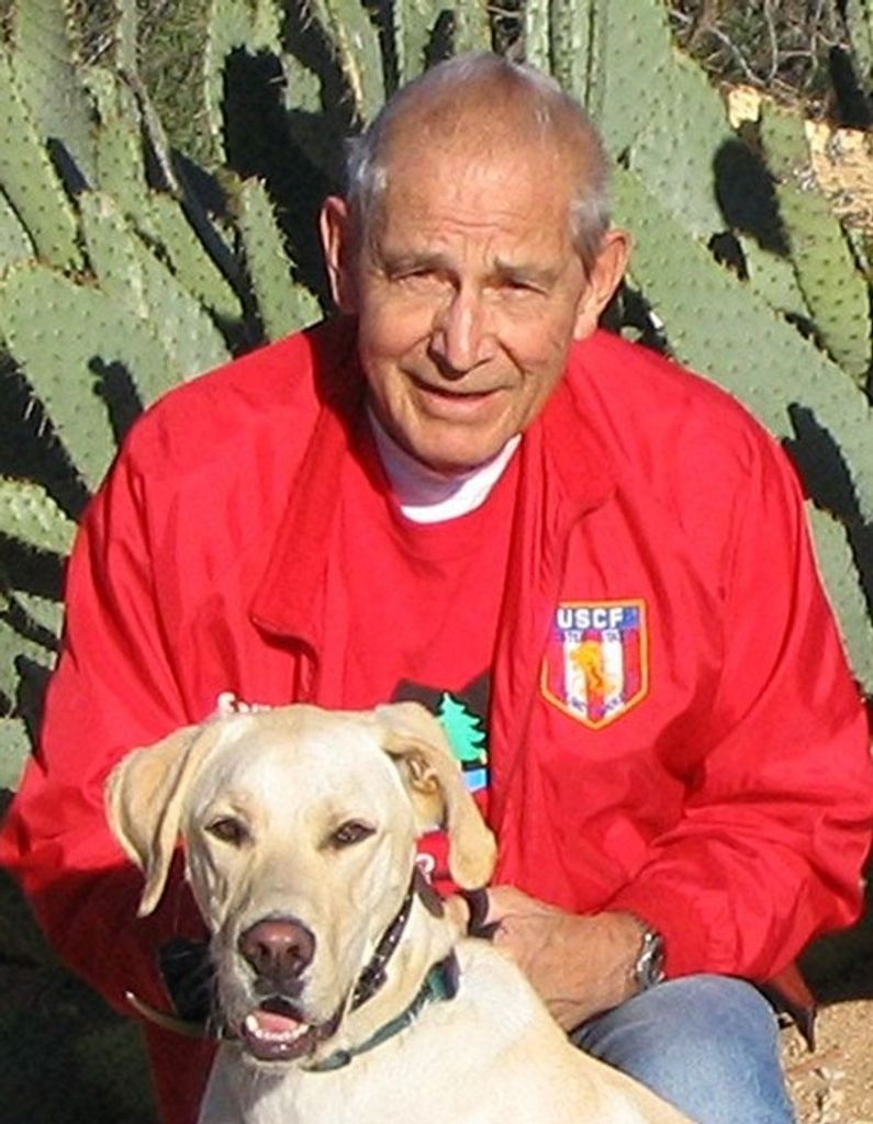 David Martens
