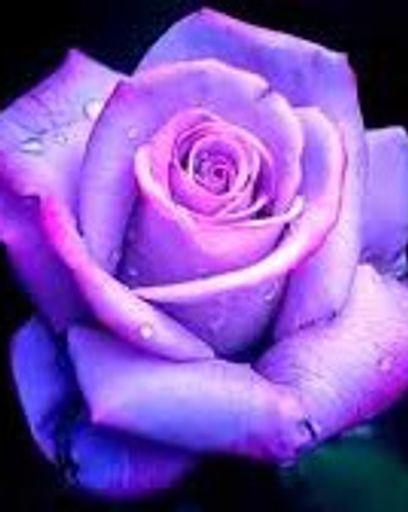 Rita Faye Crusenberry's obituary image