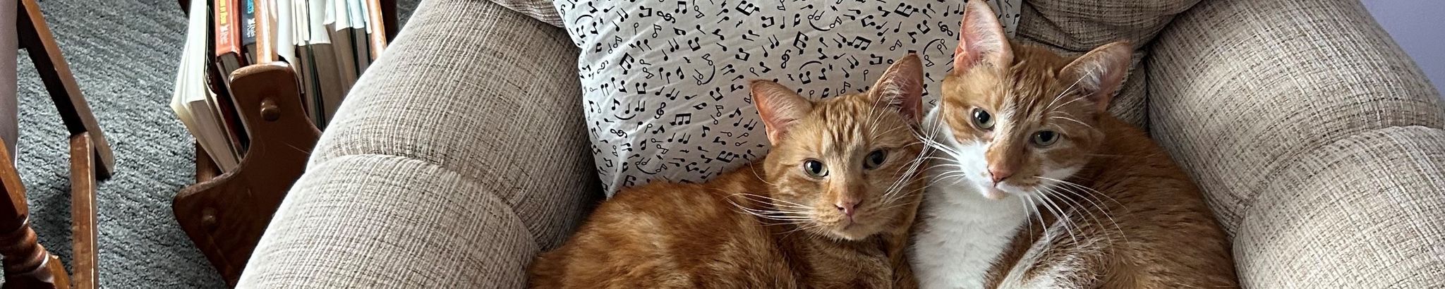 Cover for Benjamin John Jeitz's Obituary