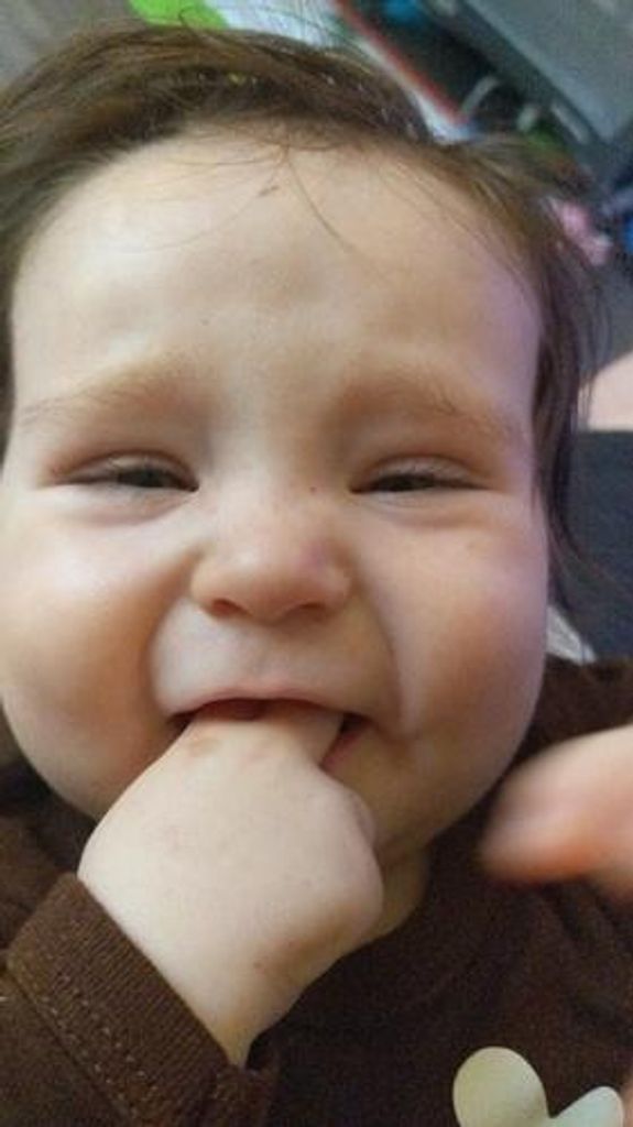 Aiden T Powell Profile Photo