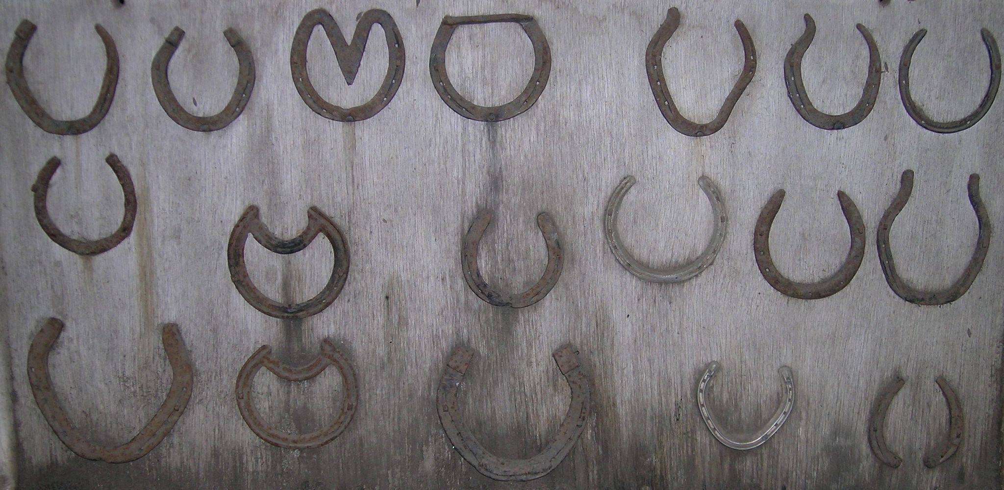 Cover photo for Kevin Michael "Horseshoe" Skaggs's Obituary