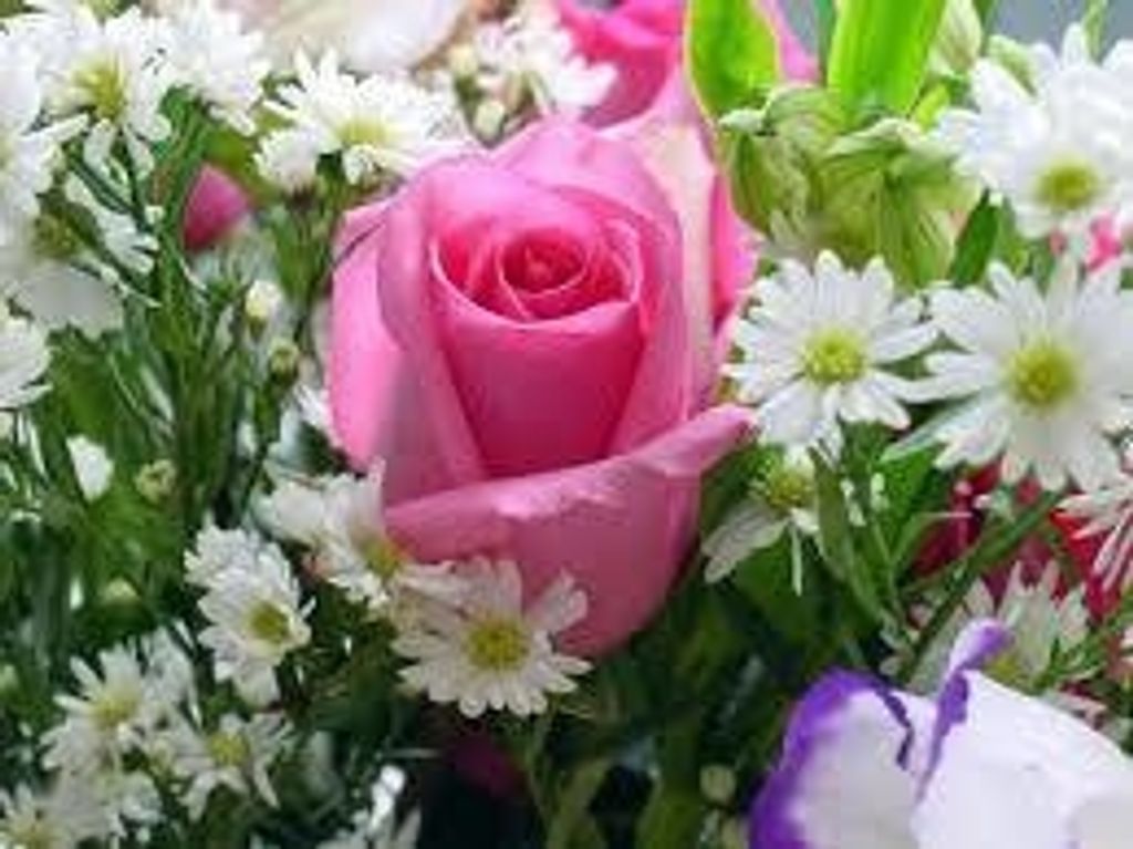 Haroldene "Casey" Williams Profile Photo