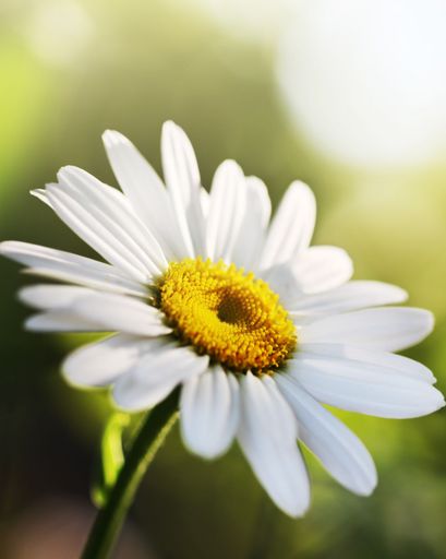 Nancy Elaine Randolph's obituary image