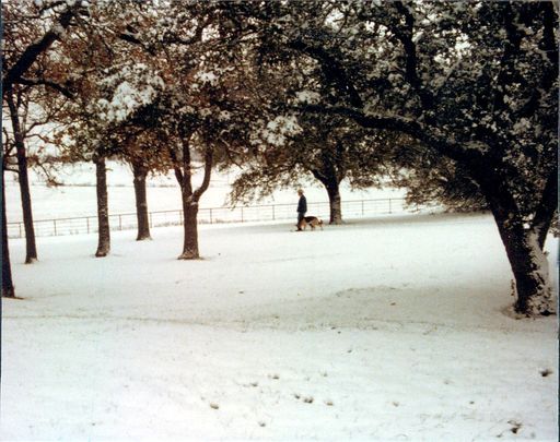 Franklin Dawson Meador photo gallery thumbnail 260 of 288