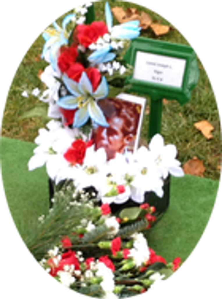 Lionel  Viger Profile Photo