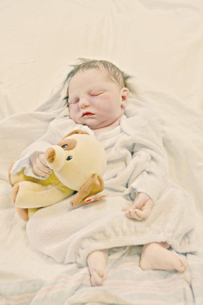 Kohen Lane Humphries