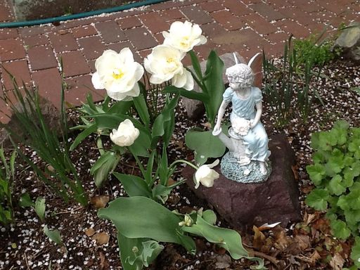 Sandra L. Stowers photo gallery thumbnail 60 of 100