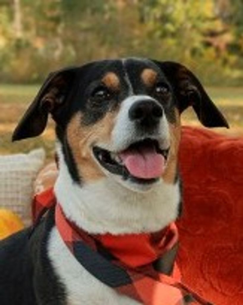 Daisy Mae Lindsey Profile Photo