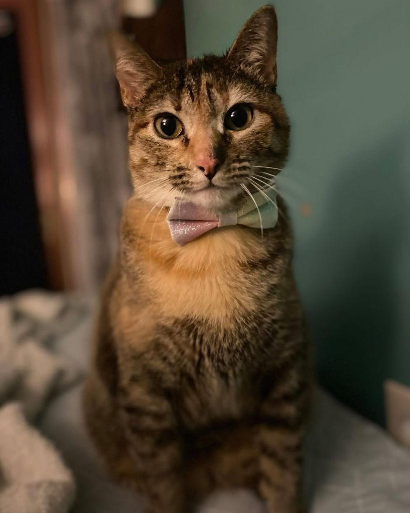 Nova Profile Photo