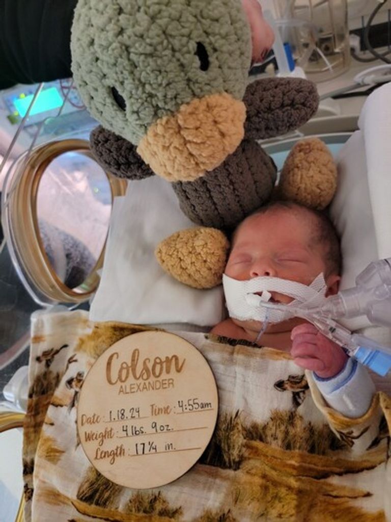 Colson Rol Profile Photo