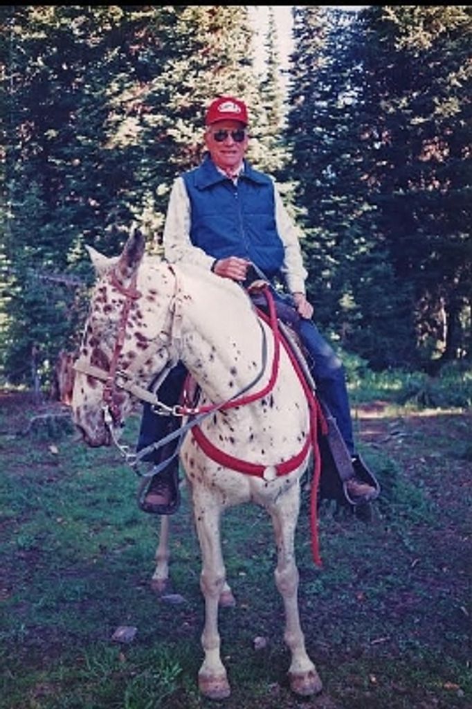 Philip Burton Donally Profile Photo