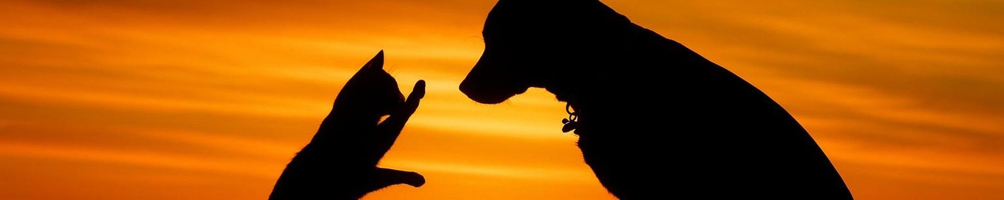 Cover for Tyrese McKinley's Obituary