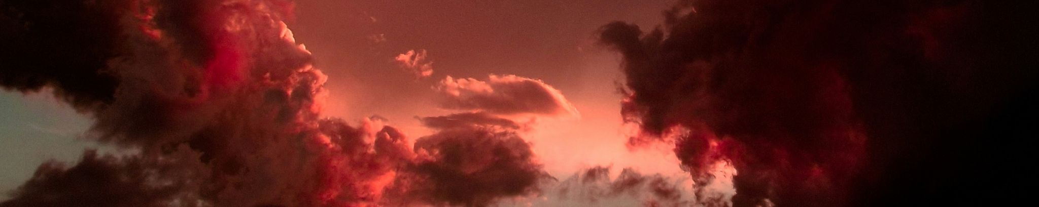 Cover for Mary Lee Shotwell's Obituary