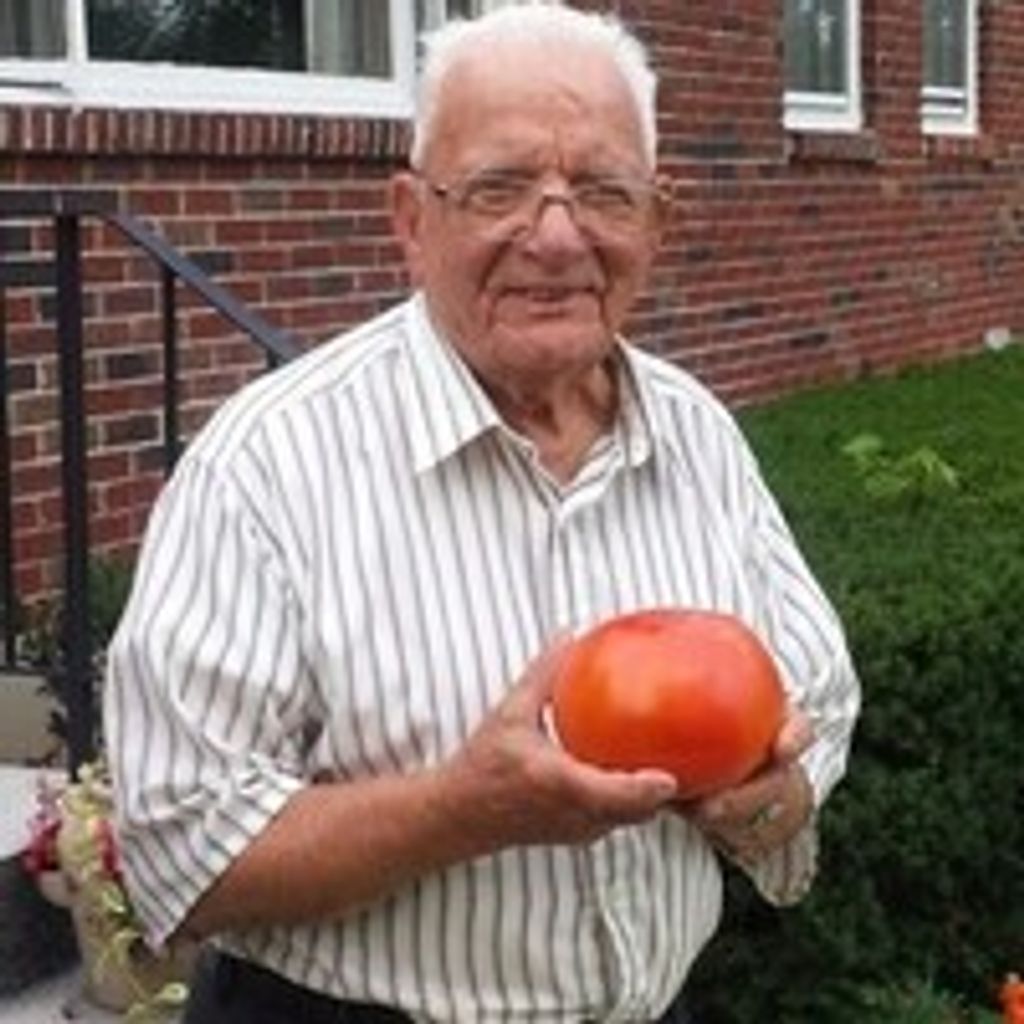 Cosimo Lizzi Sr