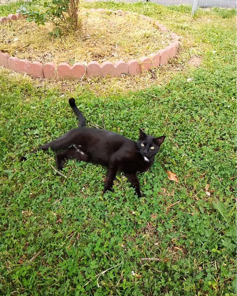 Binx Fernandez Profile Photo