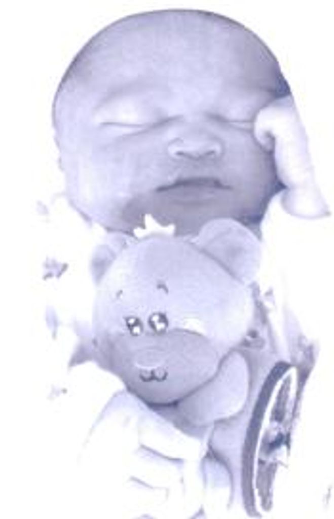 Jerdonis Allen Pringle