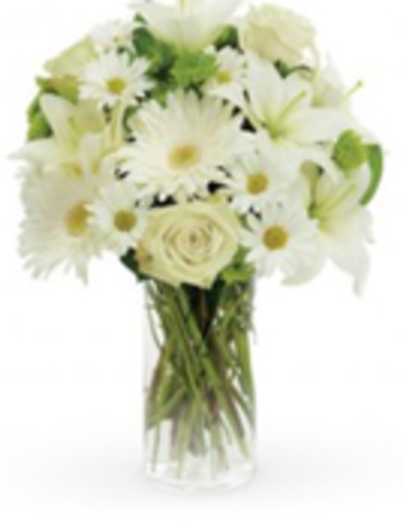 Mrs. Elouise  Stephens