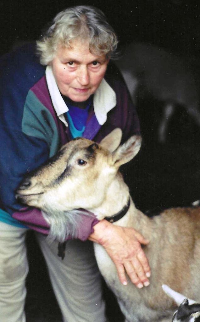 June Stevens