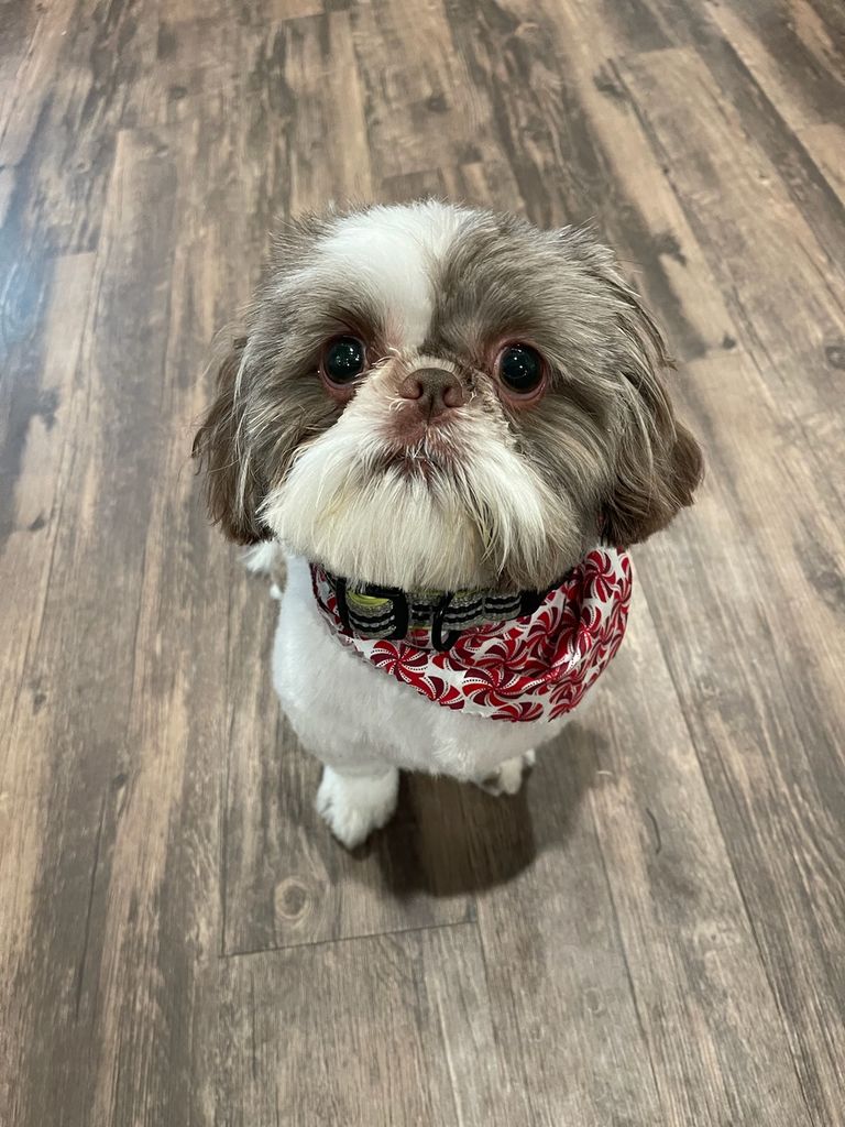 Dink Profile Photo