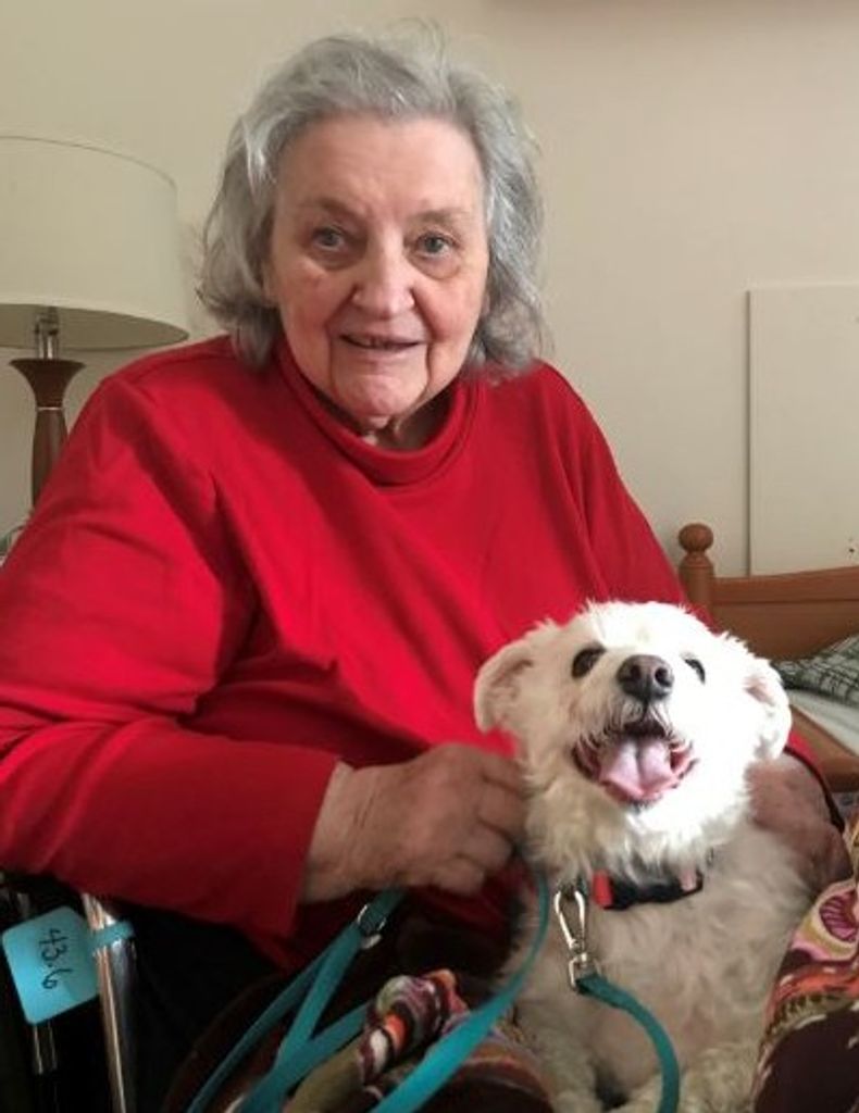 Arline Nancy (Chapman)  Gorlin Profile Photo