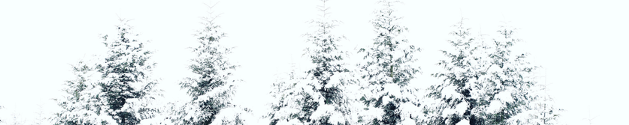 Cover for John Patrick Smith's Obituary