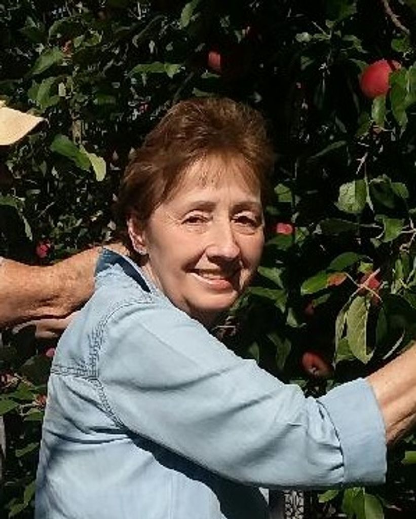 Leeanne Mills Profile Photo
