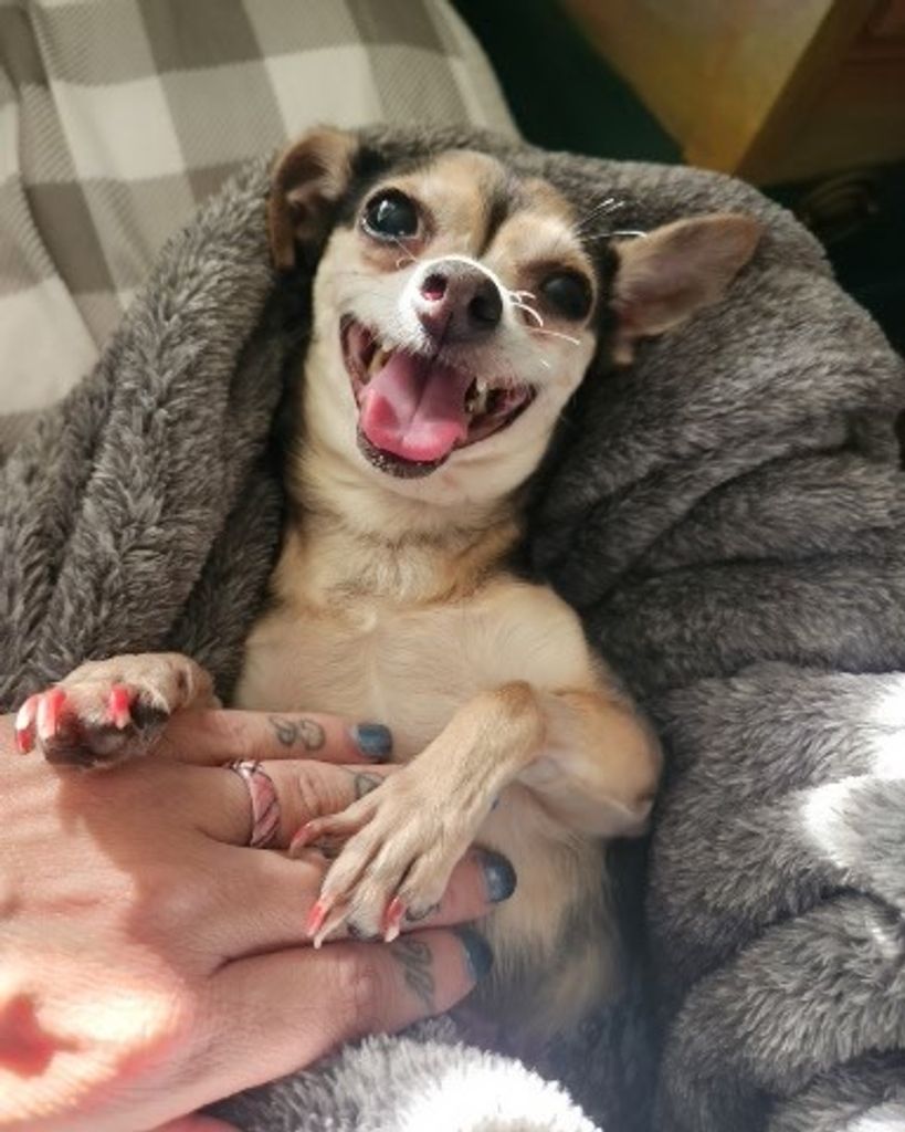 Squeaker Profile Photo