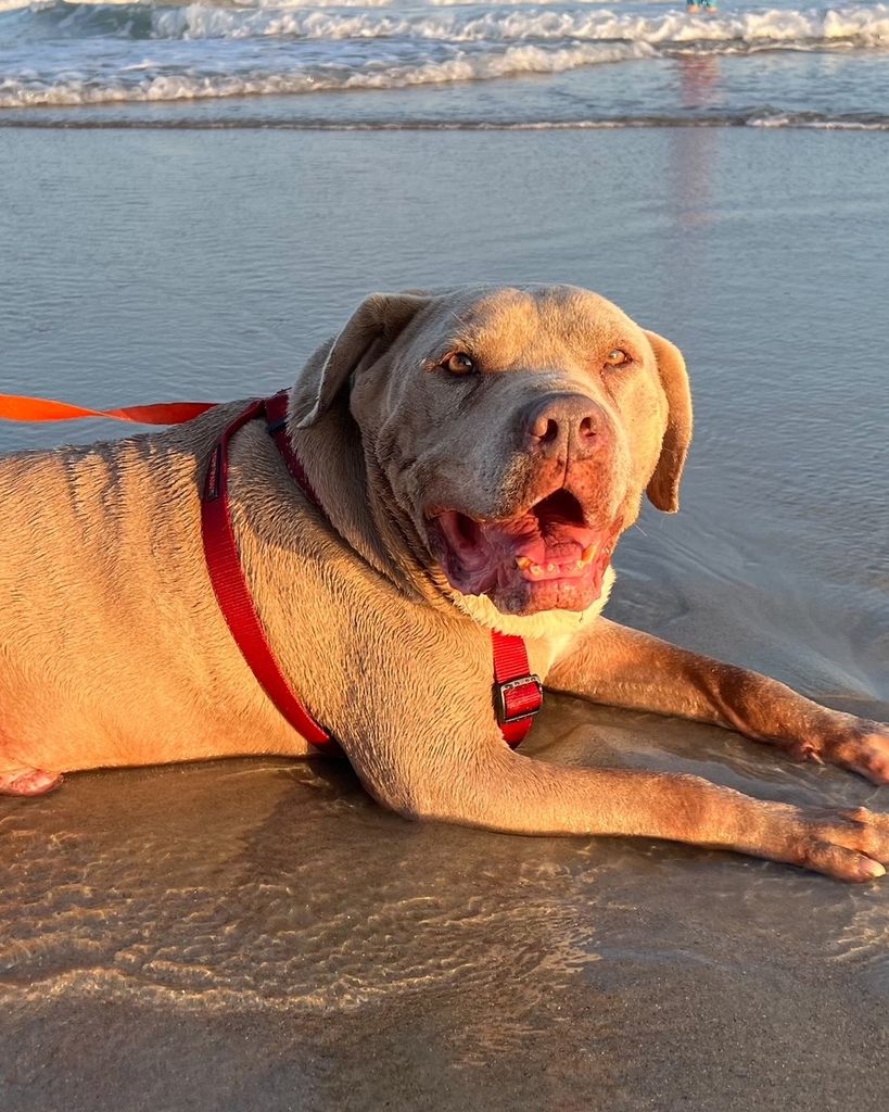 Lighting "L.B." Bolt Profile Photo