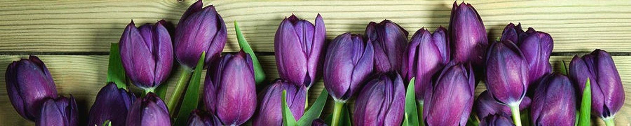 Cover photo for Marklin Reynolds's Obituary