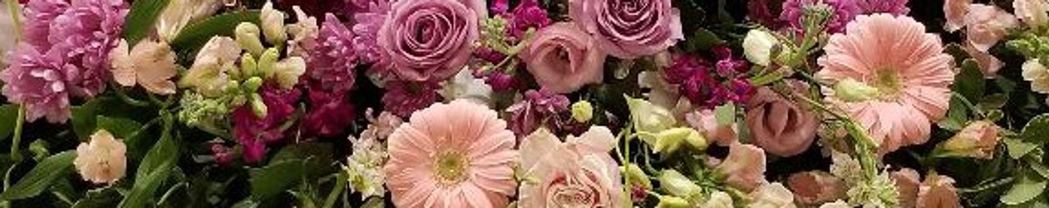 Cover photo for Jennifer Marie Meredith's Obituary