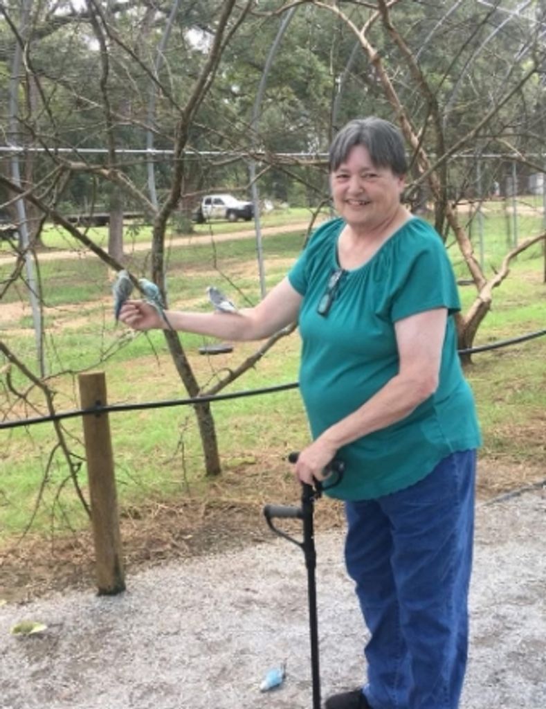 Debra Ann Bishop Harrison Profile Photo