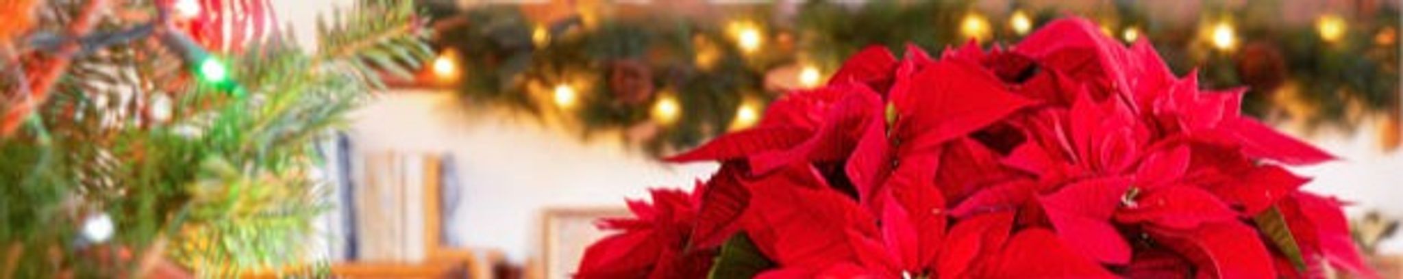 Cover for Betty Pauline Nordin's Obituary