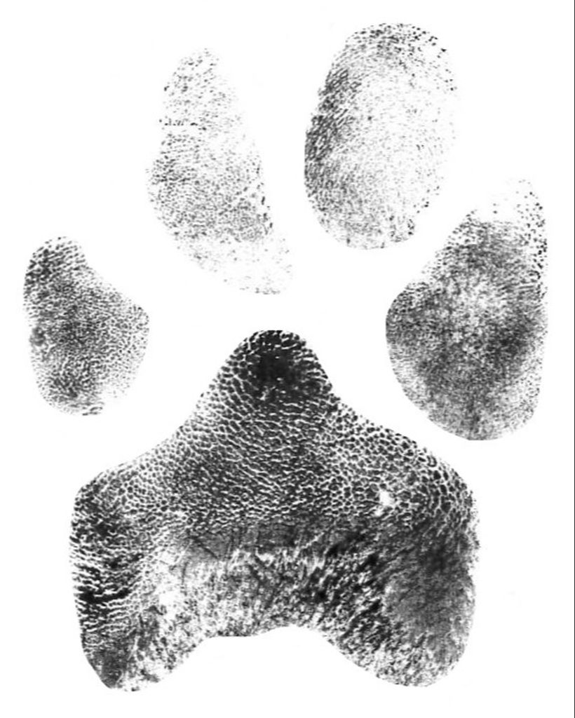 Myers Spencer Profile Photo