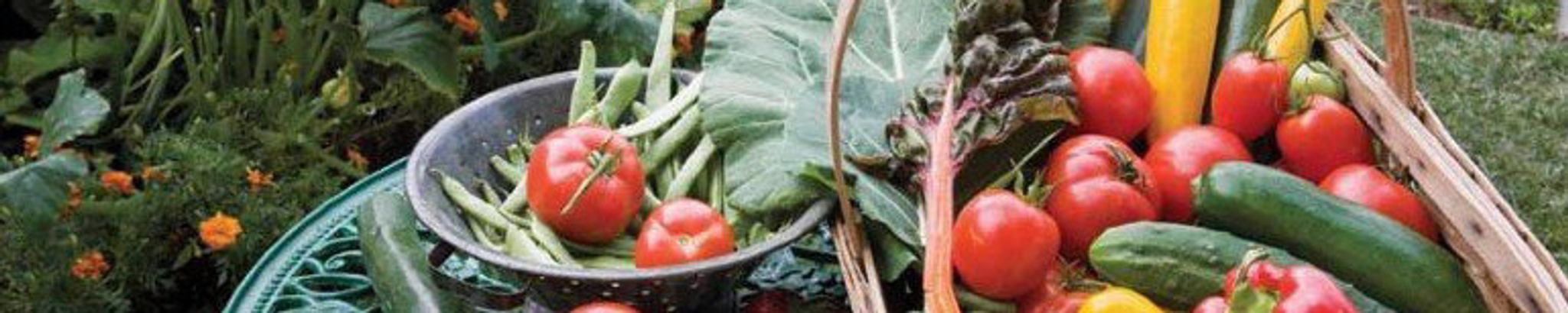 Cover for Janice Schlobig's Obituary