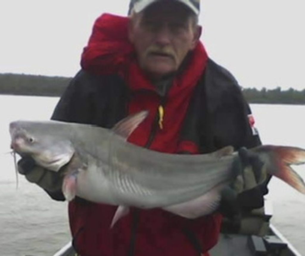 Thomas Edward Maynard