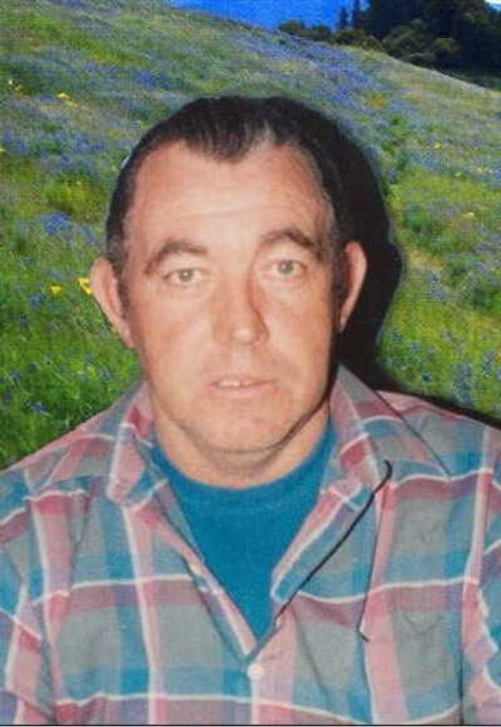 Matthew Daniels Profile Photo