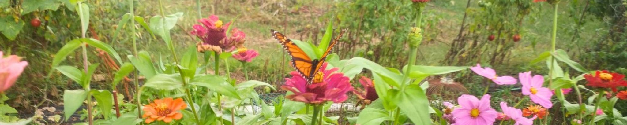 Cover photo for Mabel Montgomery Hill's Obituary
