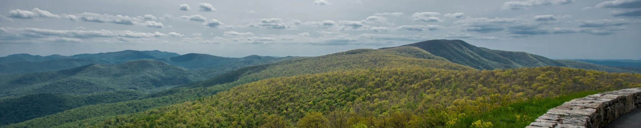 Cover for Diana Brasfield's Obituary