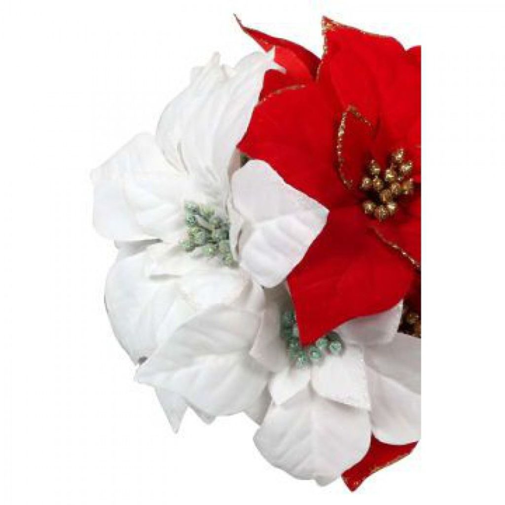 Whitney Elizabeth Mcgrew Profile Photo