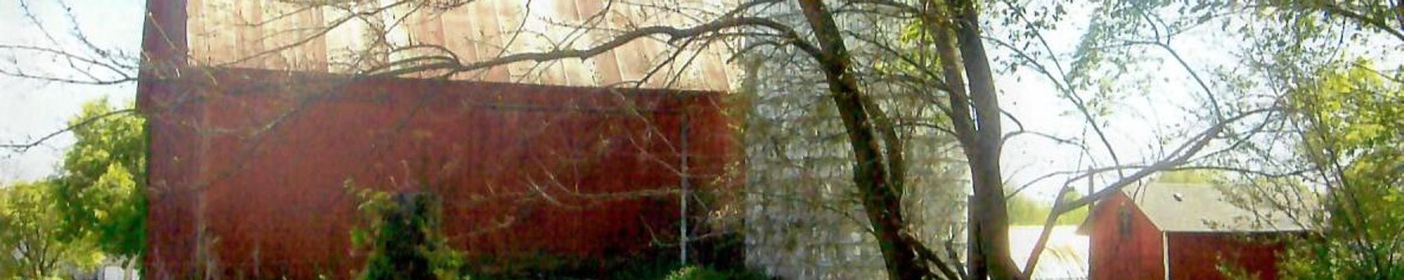 Cover photo for Shirley  Slotka's Obituary
