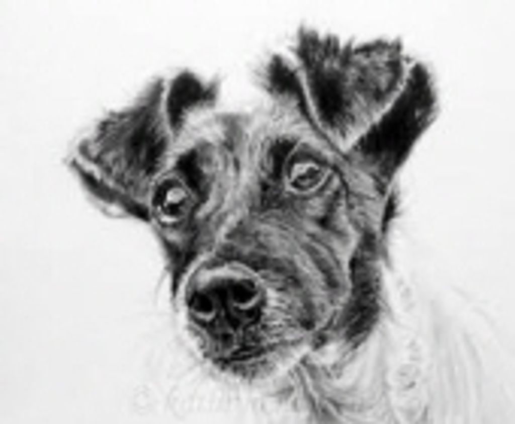 Jack Cooper Profile Photo