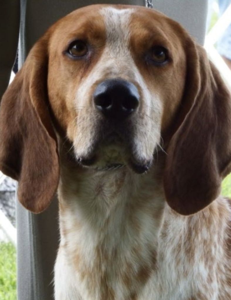 Leo Alexander Profile Photo