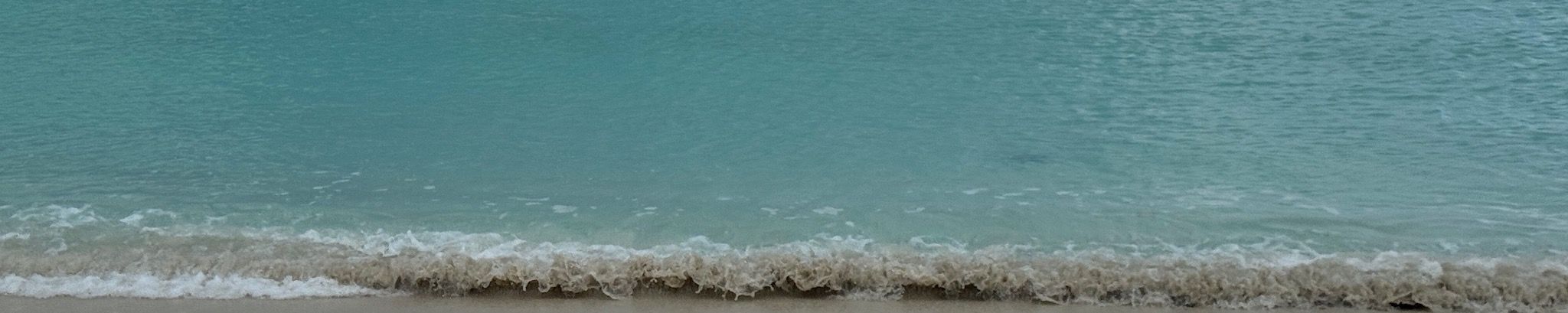 Cover for Robert Wayne Mills's Obituary