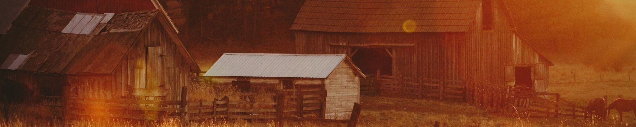 Cover photo for Jack Gibson's Obituary