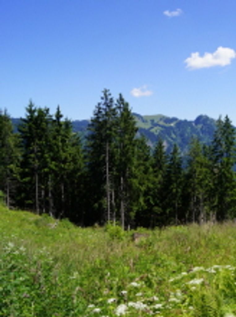 Corney Penner Profile Photo