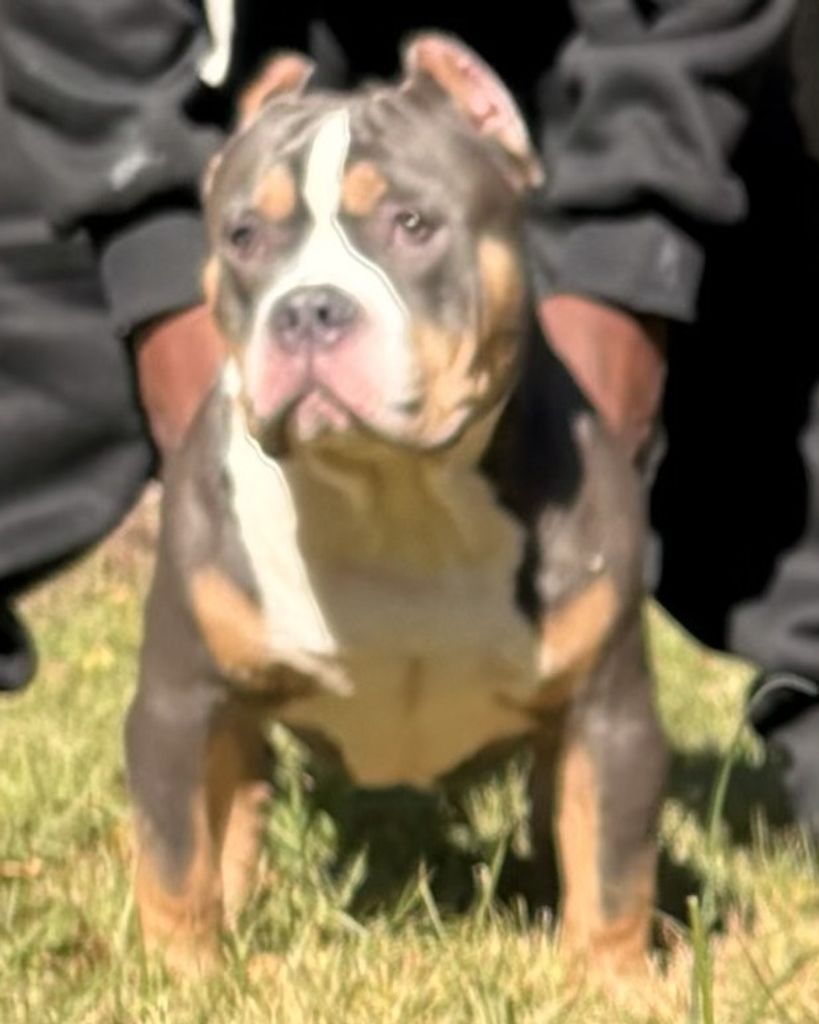 Kash Reynolds Profile Photo