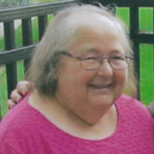 Sue Ann Novak Profile Photo