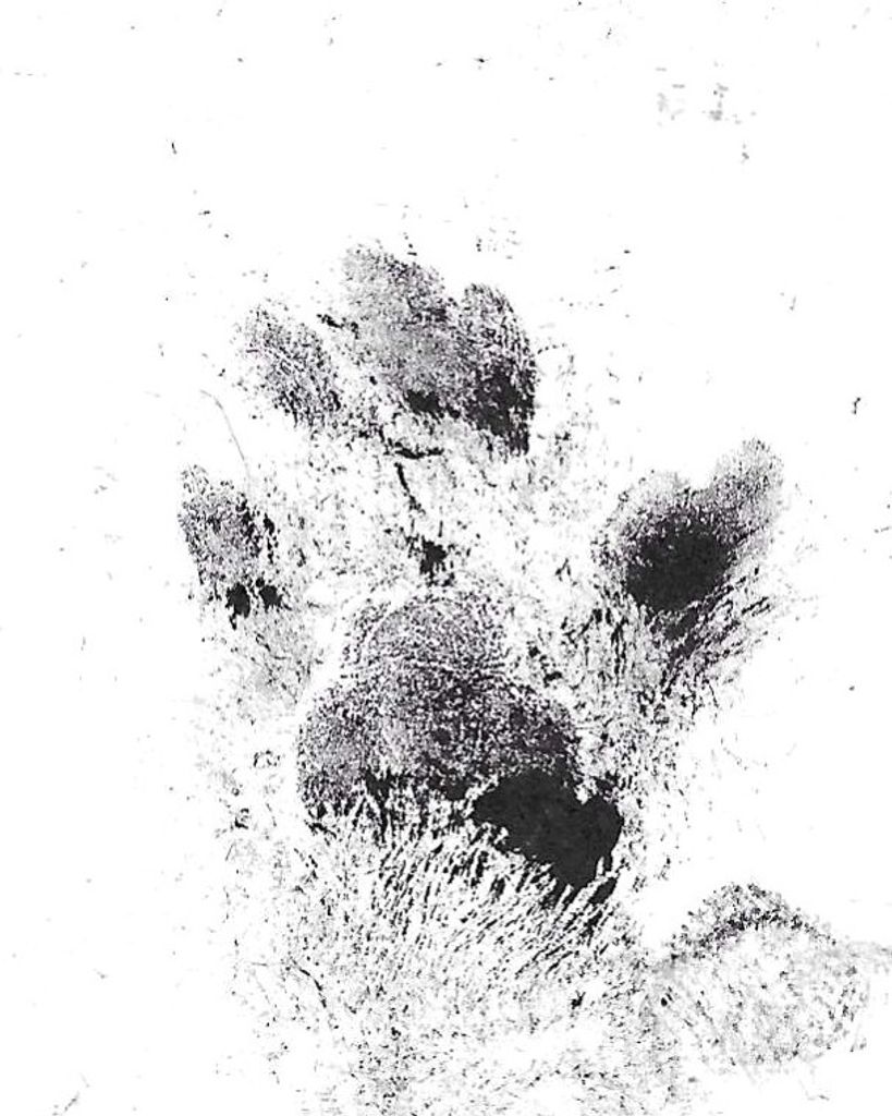 Tombstone Stainback Profile Photo