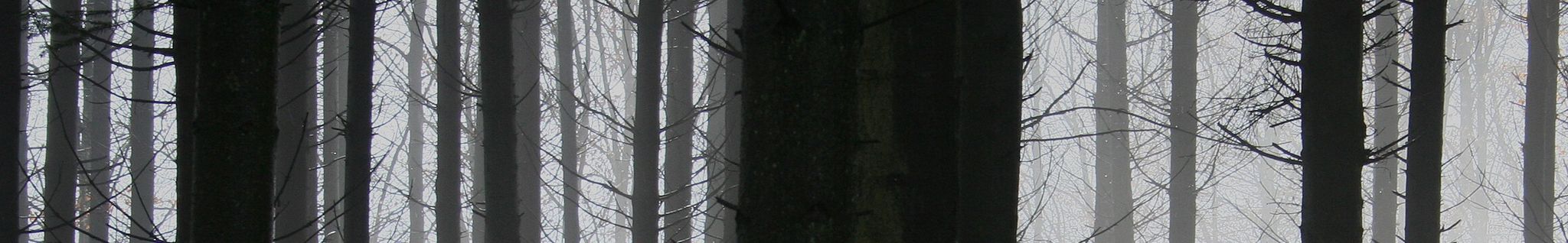 Cover for Terry Phillips's Obituary