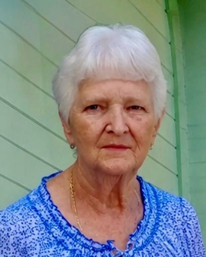 Carol A. Pettit's obituary image